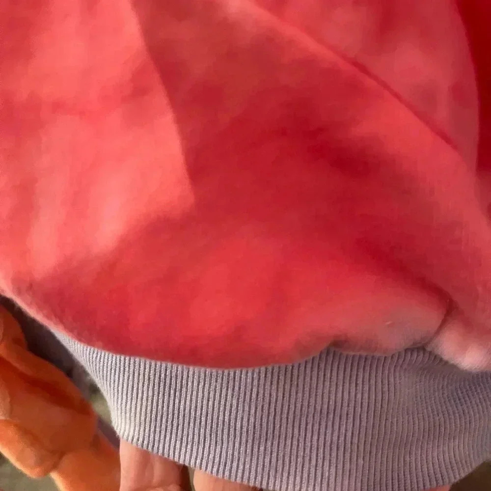 Vintage V.Secret Hoodie - Picture 4 of 7